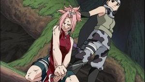 Ep 32 - Sakura Floresce!