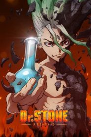 Dr Stone: Temporada 1