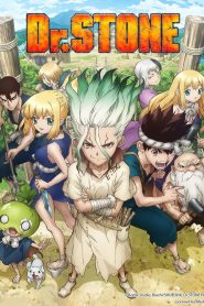 Dr Stone
