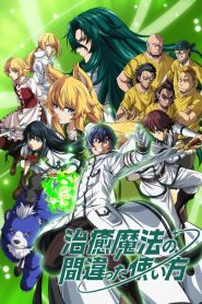 Chiyu Mahou no Machigatta Tsukaikata
